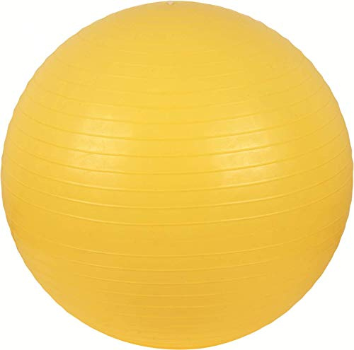 V3Tec Gymnastik Ball gelb