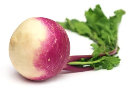 Just Seed Turnip - Veitches Red Globe - 3000 Seeds