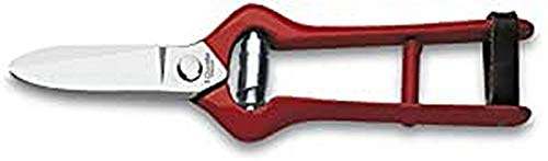 3Claveles 293 - Tijera vendimia (20 cm)