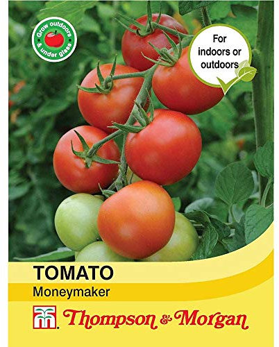 Thompson & Morgan - Vegetables - Tomato Moneymaker - 50 Seed