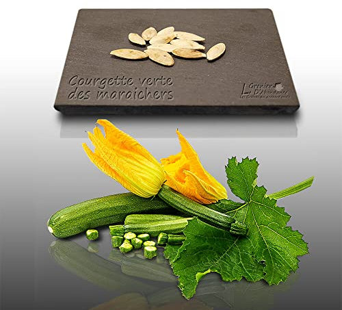 10 graines à semer - Le Grenier d'Abondance - COURGETTE Verte des Maraichers non coureuse - Curcurbita Pepo