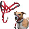 HALTI Headcollar Size 1 Red, UK Bestselling Dog Head Harness to Stop Pulling on the Lead, Easy to Use, Padded Nose Band, Adjustable & Reflective, Professional Anti-Pull Training Aid for Small Dogs
