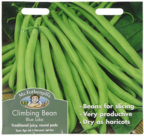 Mr Fothergill's 14779 Vegetable Seeds, Climbing French Bean Blue Lake, Green