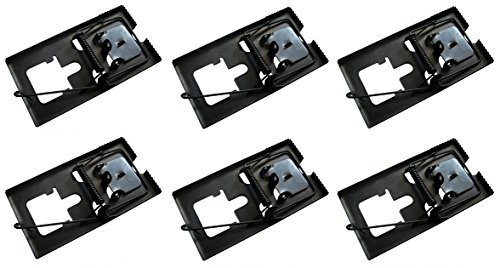 6er SET MAUSEFALLE MÄUSEFALLE aus METALL RATTENFALLE FALLE MAUS RATTE 730402
