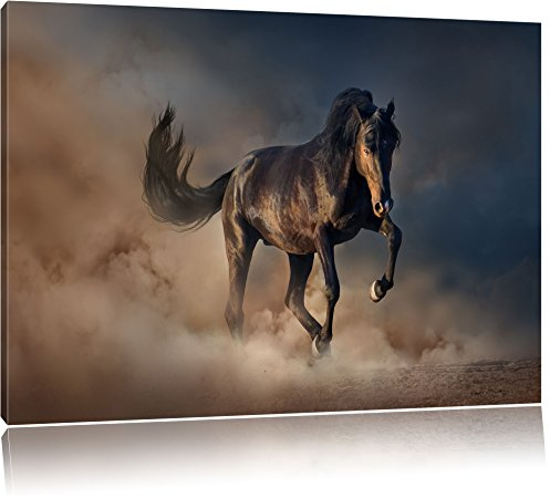Pixxprint Schwarzes Pferd, Größe: 100x70cm, Leinwandbild, fertig gespannt, Wandbild, Dekoration, Kunstdruck, kein Poster