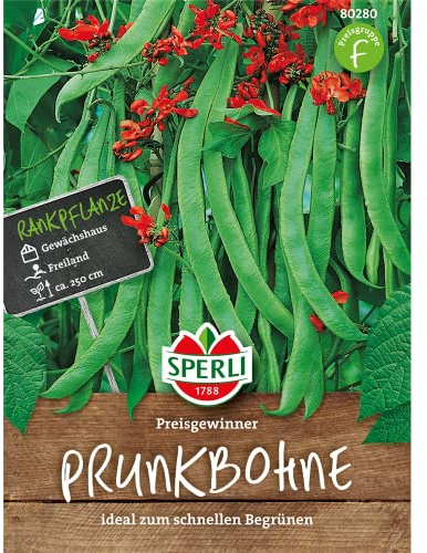 Prunkbohne Preisgewinner