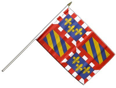 Digni® Drapeau France Bourgogne sur hampe