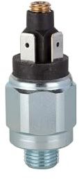 Riegler 103003 Druckschalter Standardausführung, Stahl verzinkt, 1 - 10 bar