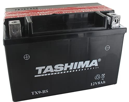Greenstar 11541 YTZ10S AGM-batteri