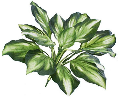artplants.de Artificial Hosta plant, green-white, 22/55cm, Ø 24/60cm