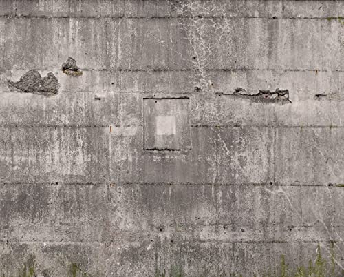 Rasch Tapete 445510 - Fototapete auf Vlies mit Betonoptik in Grau, 300 x 372 cm