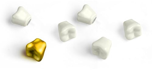 Kikkerland Zahnmagnet-Set, 6 Stück, lustige Dekoration für Zuhause, Büro und Klassenzimmer, Geschenke für Feiertage und Veranstaltungen