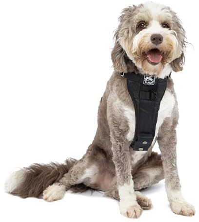 Kurgo Tru-Fit Hundegeschirr, Crash-Test-erprobtes Auto-Sicherheitsgurt, Für Hunde von 2 bis 5 kg, Größe XL, Schwarz