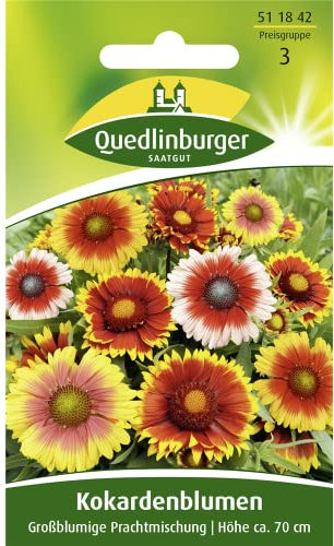 Kokardenblume, Großblumige Prachtmischung