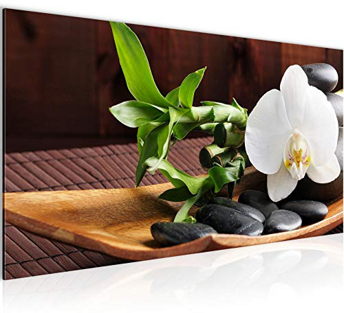 Runa Art Cuadro Decorativo Feng Shui Orquídea 1 Parte Moderno Cuadro Lienzo no Tejido para Sala Piedras Marrón Verde 502312a