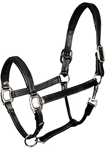 Harry's Horse Halster Leder, Padded, Farbe:schwarz, Größe:Full