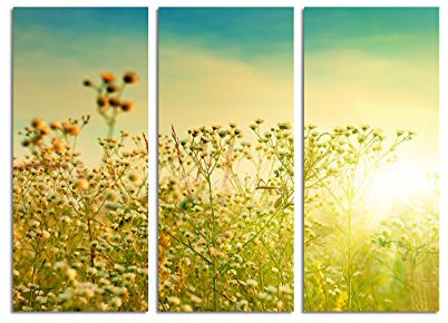 Paul Sinus Art 130x90cm – Keilrahmenbild schöner Herbst Blumen warmes Licht 3teiliges Wandbild auf Leinwand und Keilrahmen - Fotobild Kunstdruck Artprint