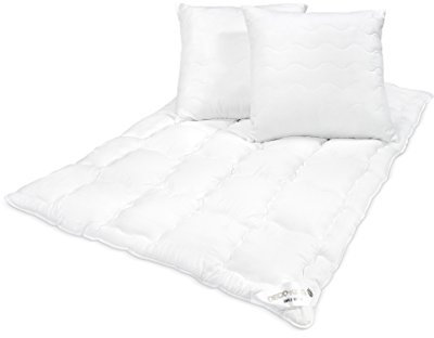 DecoKing Bettwaren Set 200x220 cm Bettdecke und 2 Kopfkissen 80x80 Steppdecke Antiallergisch Ganzjährig Öko Tex Standard Inez 200 x 220 cm