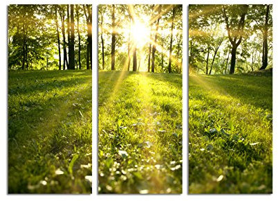 Paul Sinus Art 130x90cm – Keilrahmenbild Sonnenlicht grüner Wald Frühling 3teiliges Wandbild auf Leinwand und Keilrahmen - Fotobild Kunstdruck Artprint