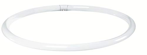 Paulmann Leuchtstofflampe Ringform T9 40W G10q 409mm Wa