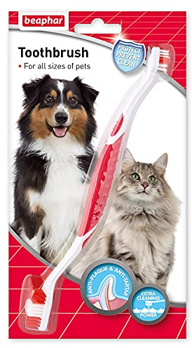Beaphar - Double-Ended Toothbrush - Dental Care for Dogs & Cats - Targets Hard-to-Reach Areas - Helps Prevent Bad Breath & Combat Plaque - Suitable for All Mouth Sizes