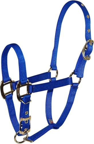Hamilton Deluxe Horse Halter, 3/4 Triple Ply Nylon with Adjustable Chin Strap, Weanling or Large Pony, 200-300 lbs, Blue