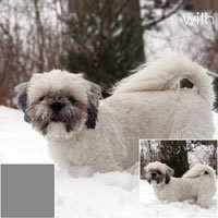 B + W ND 0,9–8 x mit Single Beschichtung (103)