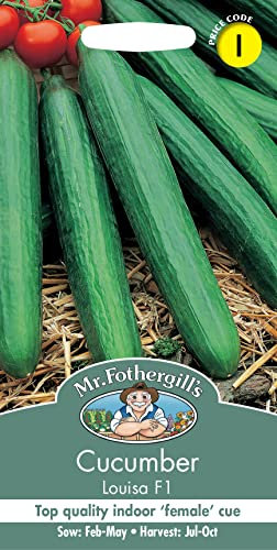 Mr Fothergill's 14194 Vegetable Seeds, Cucumber Louisa F1