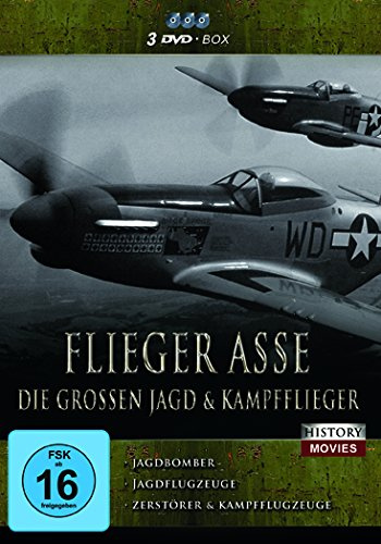 Flieger Asse - Die grossen Jagd- & Kampfflieger [3 DVDs]