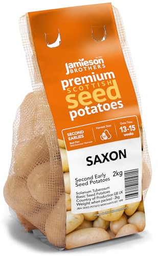 Jamieson Brothers 2kg Saxon Seed Potatoes – JBA Second Early Grow Your Own Spuds – For Chips, Mashing, Baking & Boiling – Scottish-Grown & Ready to Plant in Pots, Gardens & Allotments