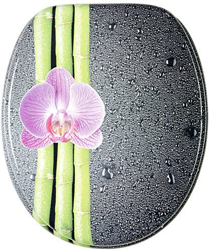 Sanilo WC Sitz ohne Absenkautomatik, viele neue Toilettendeckel zur Auswahl, hochwertige Oberfläche, stabile Scharniere, leichte Montage (Asia)