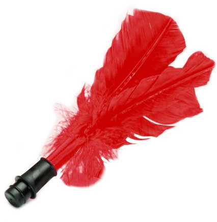 Indiaca Ersatzfedern rot Indiaca Turnier Ferder Ersatz Sport Freizeit Ball Spiel