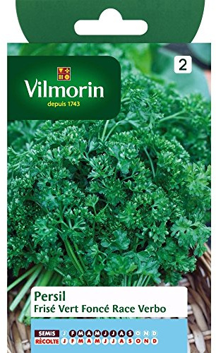 Vilmorin - Mörkgrön lockig persilja