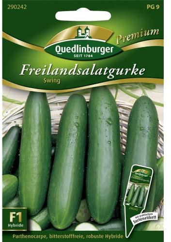 Freilandsalatgurke, Swing F1