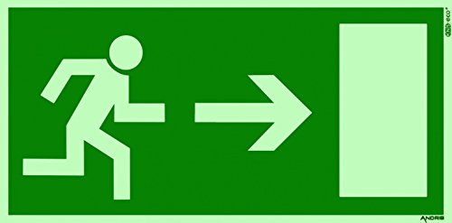 Orig. ANDRIS® Qualitäts-Symbolschild Fluchtweg/Notausgang Schild Pfeil rechts DIN Kunststoffplatte lang nachleuchtend 300x150mm