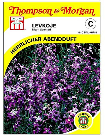 Thompson & Morgan - Flowers - Stocks Night Scented - 1000 Seed