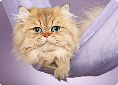 +++ PERSER Katze - SCHNEIDEBRETT Dekoteller Glasbrett Dekoglas - PRS 02