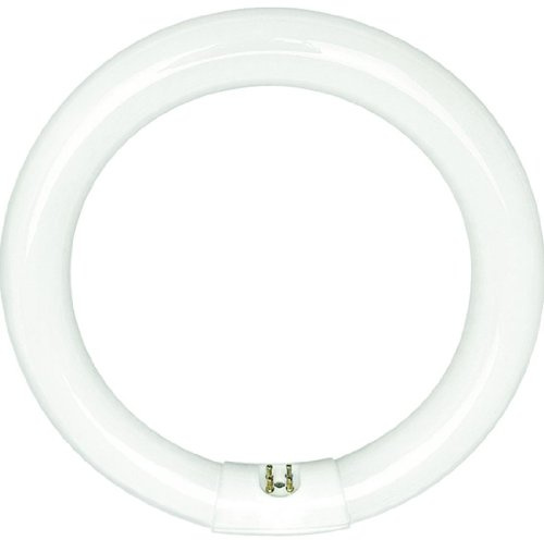 Sylvania 20142 - FC12T9/CW/RS -32 Watt T9 Cool White Circular Fluorescent Light Bulb, 12 Diameter