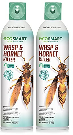 EcoSmart Wasp & Hornet Killer 14 oz. Aerosol (2 Pack)