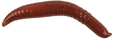 Berkley Gulp! Floating Pinched Crawler Nightcrawler, 2-Inch