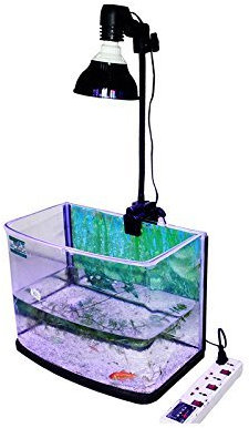 Verstellbare LED-Clamp-Beleuchtung ein- / Clip-Halter E27 Fassung Schwanenhals-Clamp / Berg