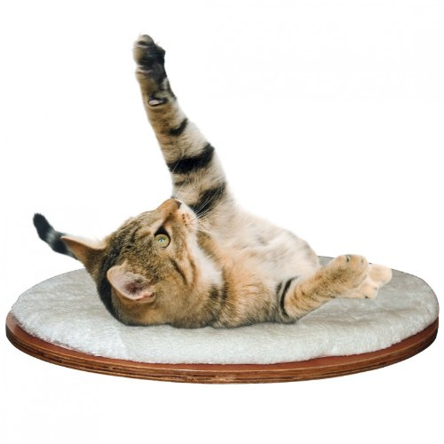 Kerbl Pet 81503 Wandliegebrett oval Dolomit 50 x 35 x 1.5 cm