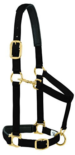 Weaver Leder-gepolstertes verstellbares Kinnhalfter mit Druckknopfverschluss, 2,5 cm großes Pferd oder 2 Jahre alte Zugluft, solides Schwarz