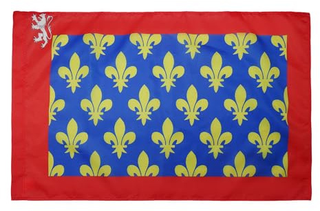 AZ FLAG Drapeau Sarthe 150x90 cm Drapeau Français Polyester 100D Fourreau | Usage intérieur et extérieur Drapeau décoratif coutures doubles et bords renforcés avec fourreau pour mât
