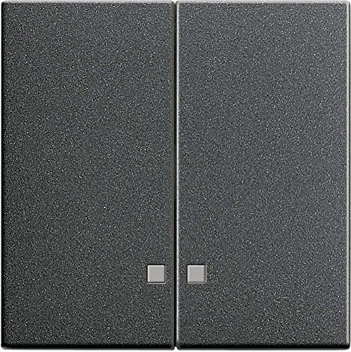 Gira 063128 Serienwippen Kontrollfenster System 55 , anthrazit