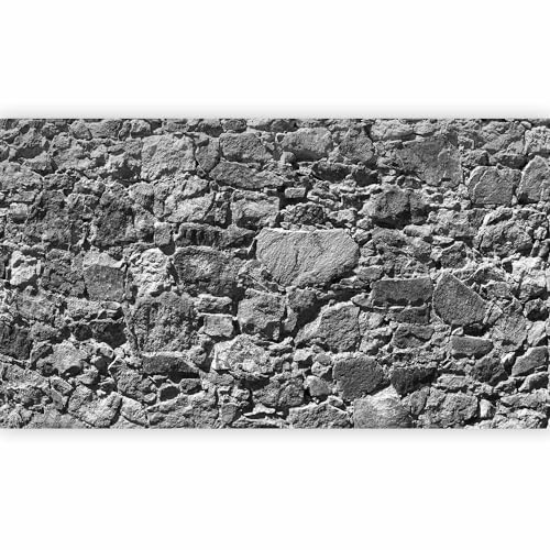 murando - Fototapete XXL Stonewall 500x280cm- Foto Tapete Schlafzimmer Wohnzimmer Vliestapete XXL Wandtapete Motivtapeten Bildtapete 3d Effekt Wand Dekoration - Stein Steinoptik 3D Mauer f-A-0493-x-d