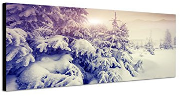 Augenblicke Wandbilder Keilrahmenbild Wandbild 150x50cm Bäume Berge Schnee Sonnenuntergang