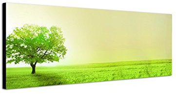 Augenblicke Wandbilder Keilrahmenbild Wandbild 150x50cm Feld Wiese Baum Sonnenlicht