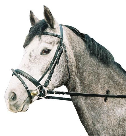 jw reitsport Trense schwedisches Reithalfter Warmblut schwarz