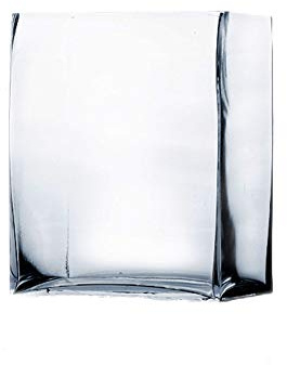 WGV Glass Rectangle Block Vase, Width x Length 2 x 5, Height 6, Clear Floral Planter Container Votive Candle Holder Wedding Party Event, Home Office Decor, 1 Piece